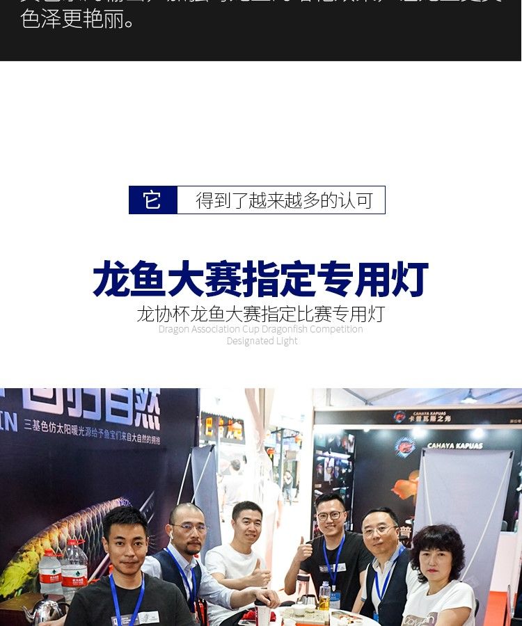 印龍魚增艷燈系列，亮彩、紅龍及
