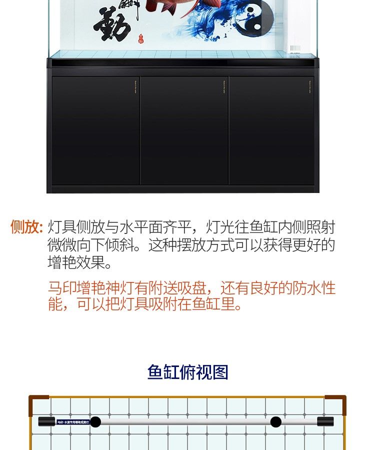 印龍魚增艷燈系列，亮彩、紅龍及
