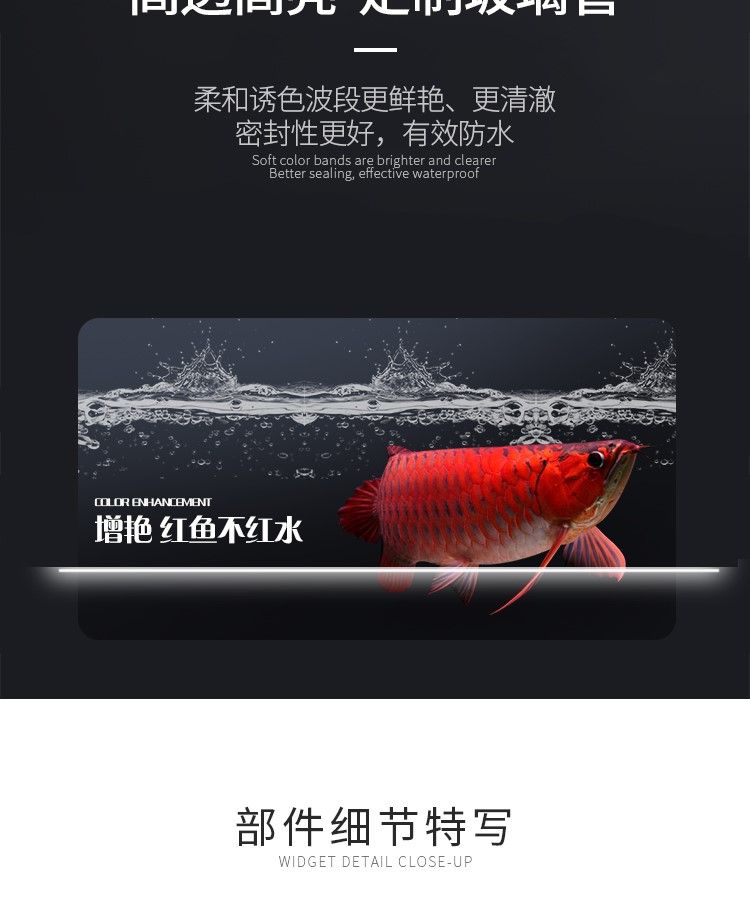 印龍魚增艷燈系列，亮彩、紅龍及