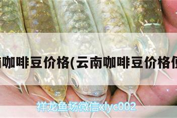 咖啡豆價格親民，品質優良，為何如此