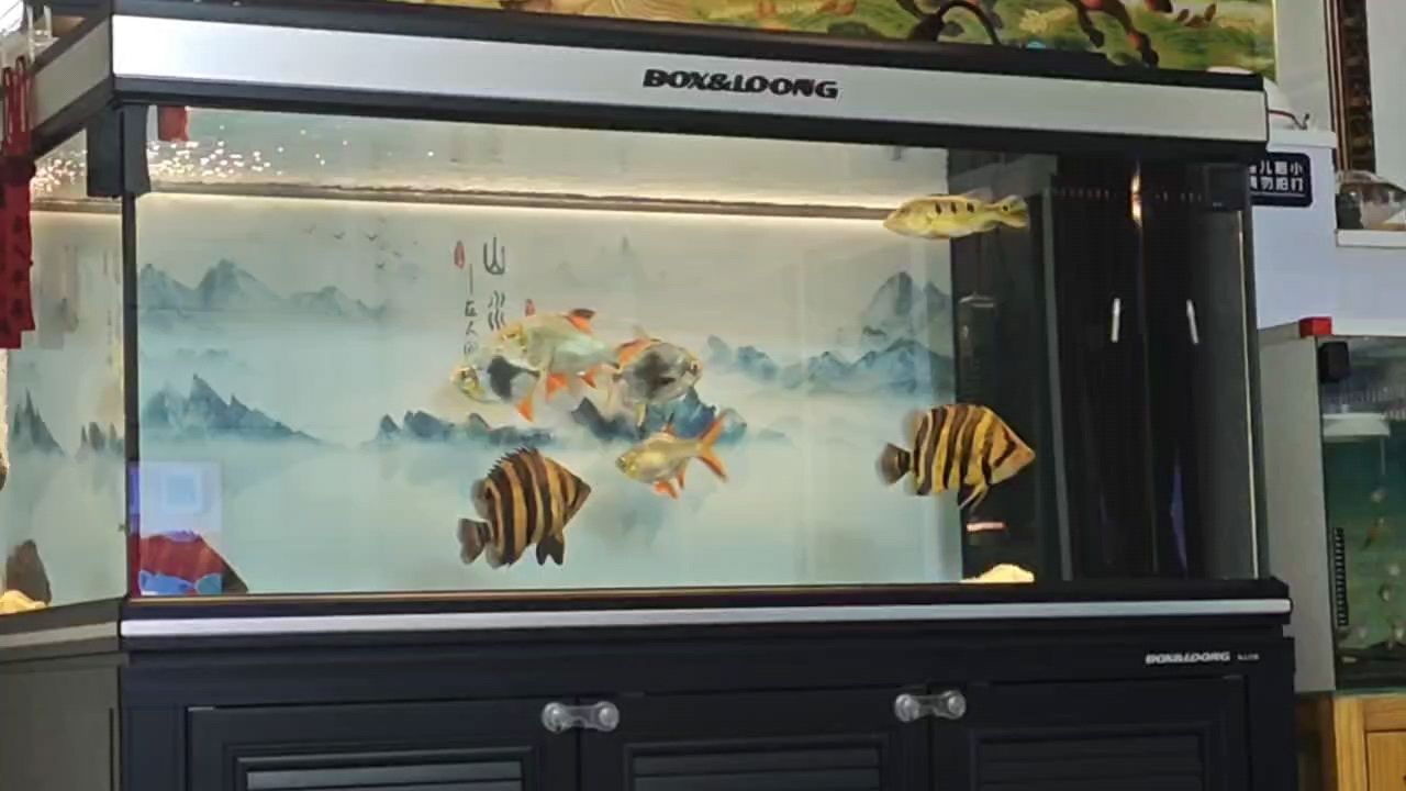 龍賀歲福滿人間 新元肇啟瑞繞華