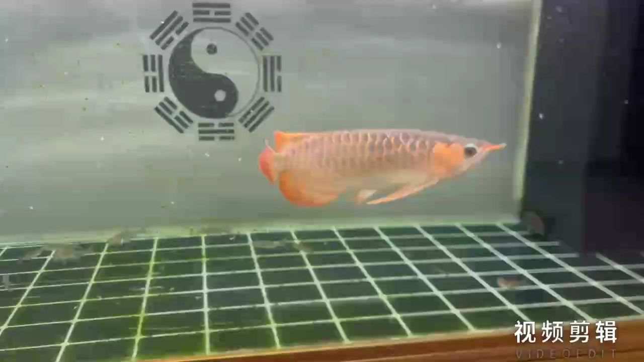 每日打卡，堅持的力量，見證點滴積累