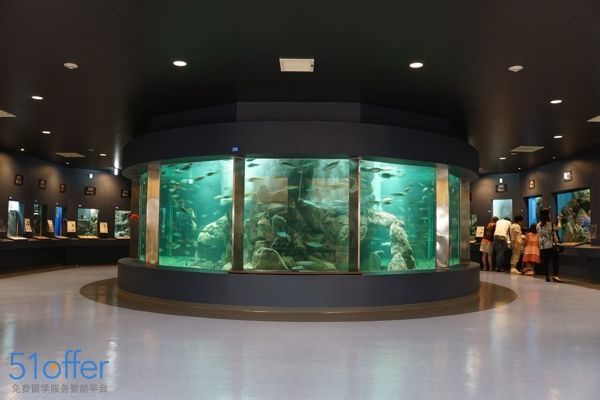 家水族館進貨要求怎么寫? 水族館百科(水族館加盟) 第4張 家水族館進貨要求怎么寫? 家水族館進貨要求怎么寫? 水族館百科(水族館加盟) 第4張