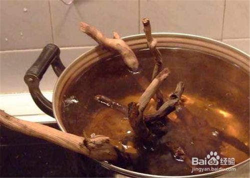 紅龍魚苗價格幾何？ 紅龍魚苗價格幾何？ 龍魚百科 第3張