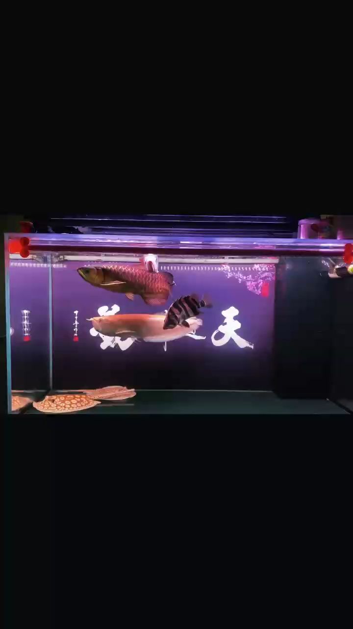 你未提供具體內(nèi)容，以下為你生成一個示例標題，
