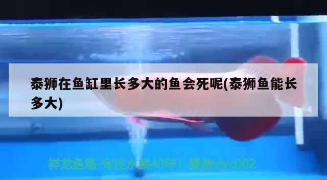 探秘印度養魚業，現狀、挑戰與未來發展機遇全
