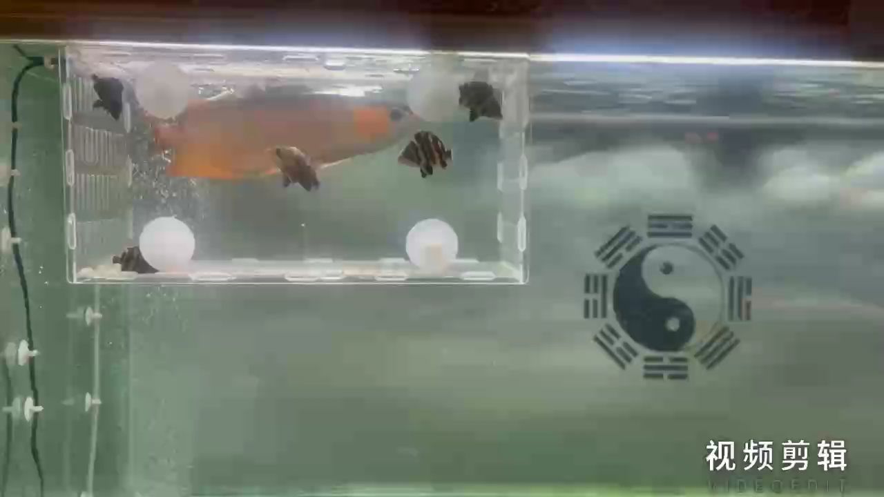 每日簽到，積累小行動，收獲大改變的堅持之旅