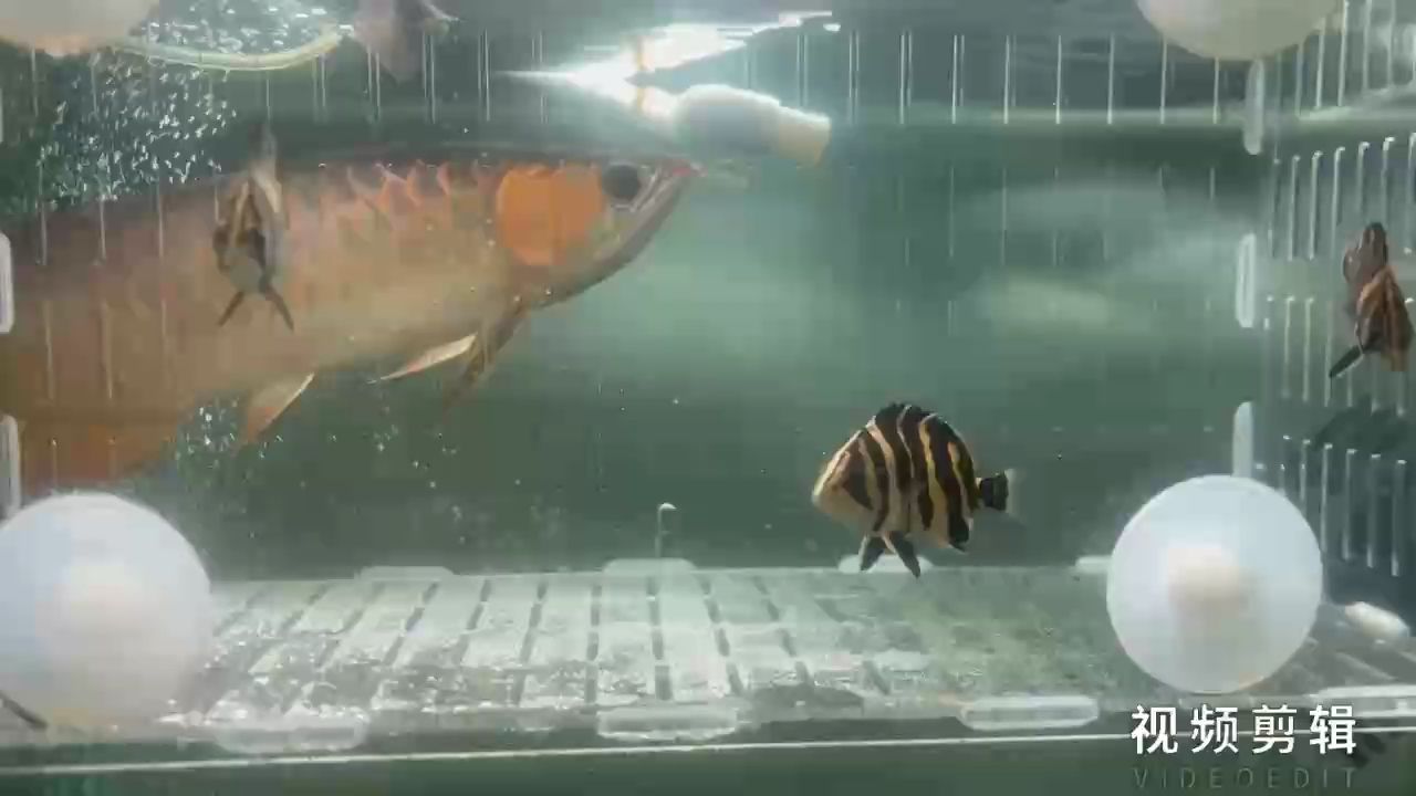 每日打卡，記錄成長點滴，見證自律