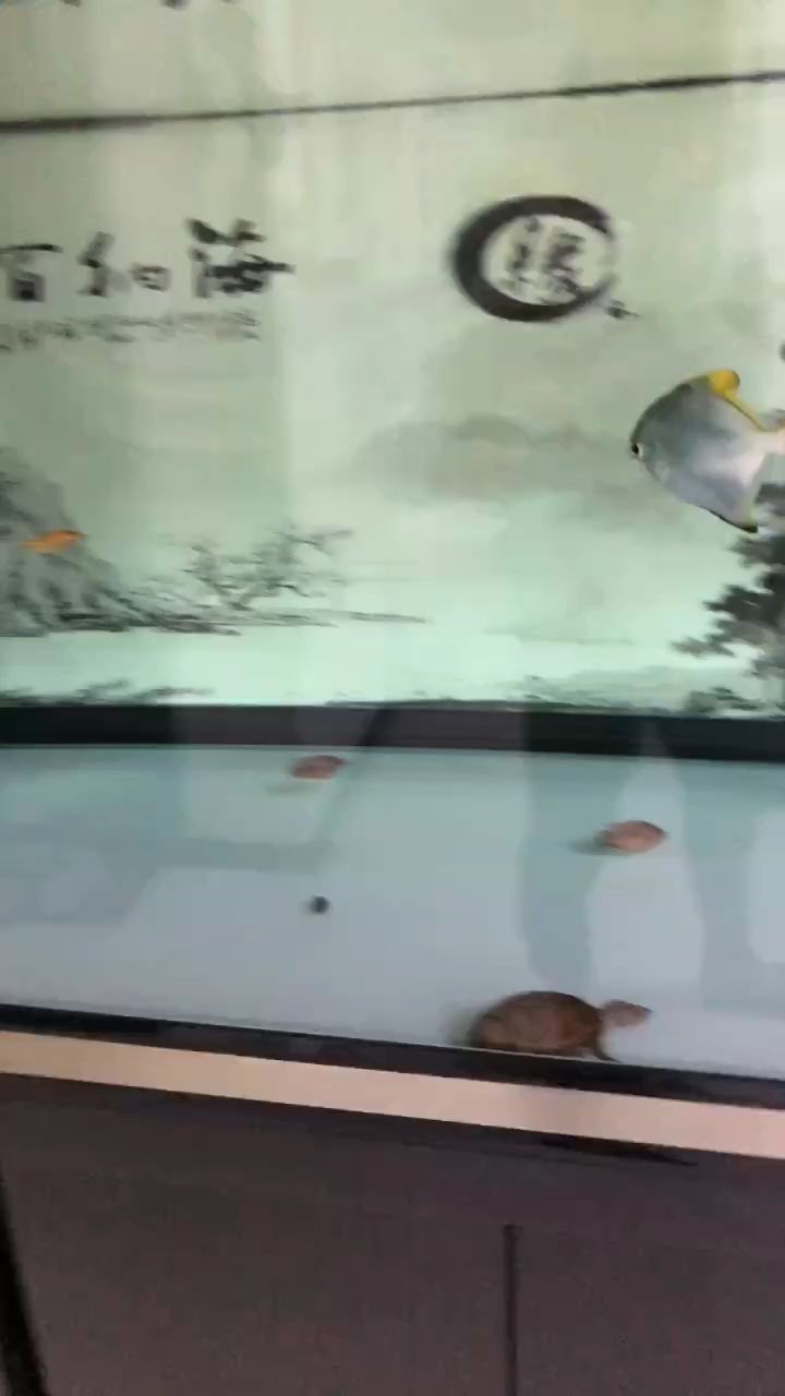 魚缸過濾器選購指南:自制魚缸過濾器魚缸上置過濾器對(duì)于養(yǎng)魚愛好者的必備知識(shí) 每日簽到,積跬步以至千里,啟新程之序章 龍魚論壇 每日簽到,積跬步以至千里,啟新程之序章 每日簽到,積跬步以至千里,啟新程之序章 龍魚論壇