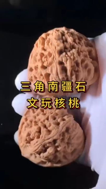 三件南疆石核桃,獨特韻味與不凡魅力的珍藏 龍魚論壇 三件南疆石核桃,獨特韻味與不凡魅力的珍藏 三件南疆石核桃,獨特韻味與不凡魅力的珍藏 龍魚論壇