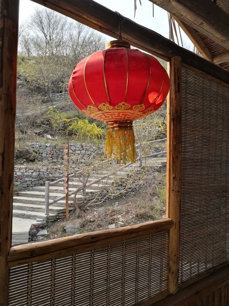 堅(jiān)持愛(ài)好，于喧囂塵世中尋得心靈凈土與自我