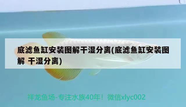 突現渾濁如西米露，探尋水質驟變背后的神秘