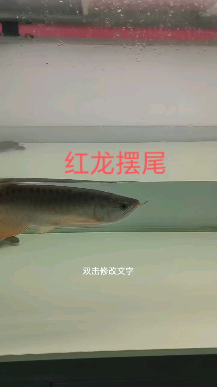 你未提供具體的內容呀，我沒辦法準確生成相應長標題呢，你可以把相關內容詳細