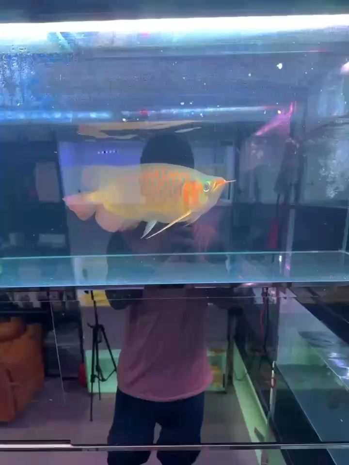 哈哈，探尋背后蘊(yùn)含的多樣意味與