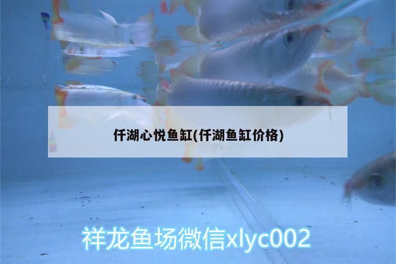 湖心悅魚缸，品質之選，探尋仟湖魚缸價格與