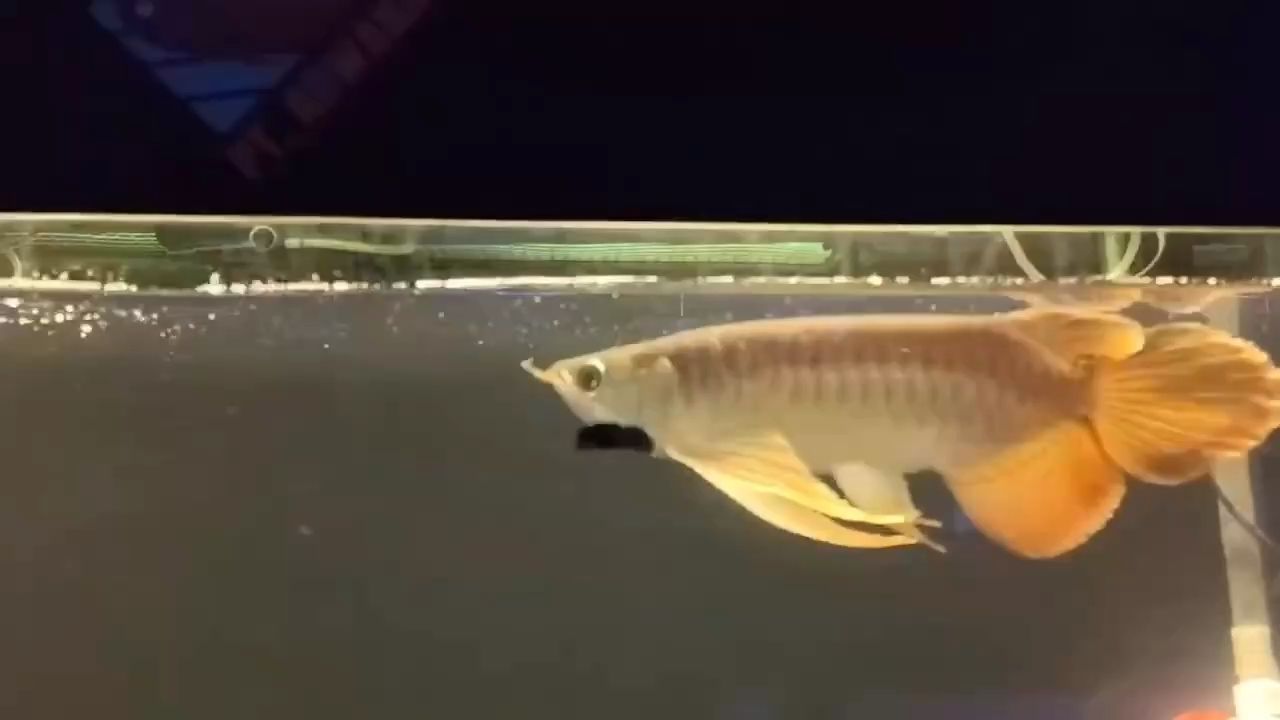 煥新，帶來全新體驗