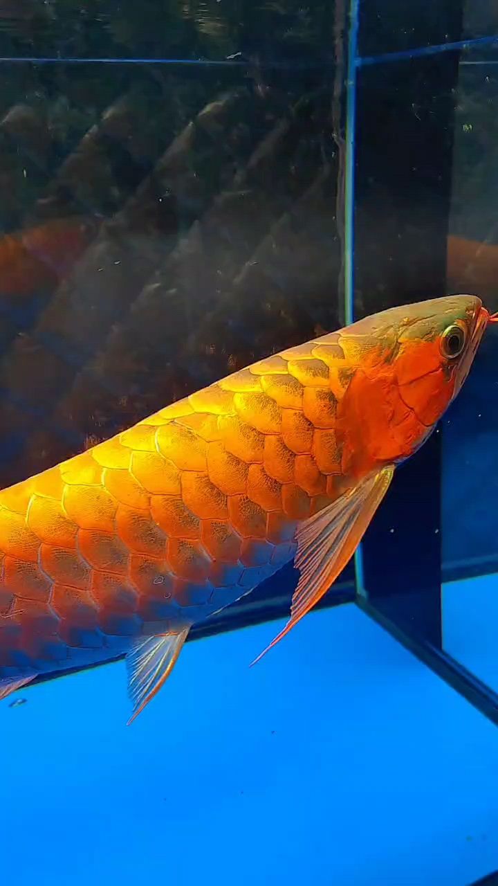 記錄生活點(diǎn)滴，那些難忘瞬間與日常瑣碎的珍貴留念