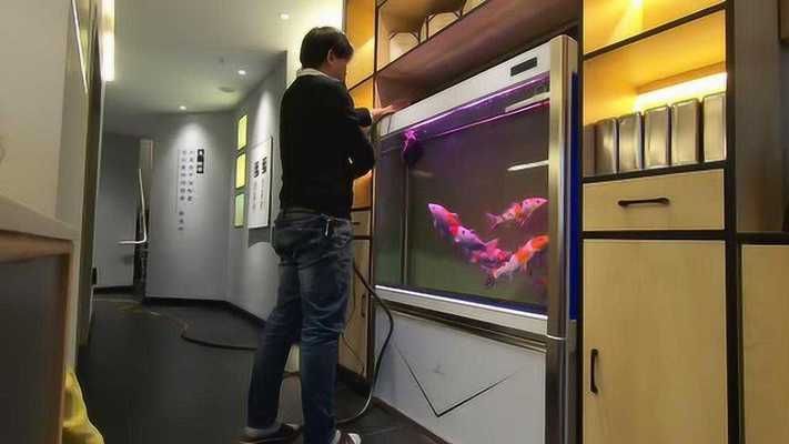 硝唑治龍魚頭洞病引爭議，祥龍魚