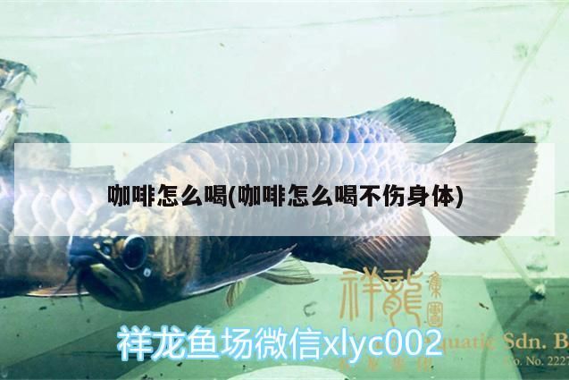咖啡怎么喝才健康？ 咖啡怎么喝才健康？ 馬來西亞咖啡