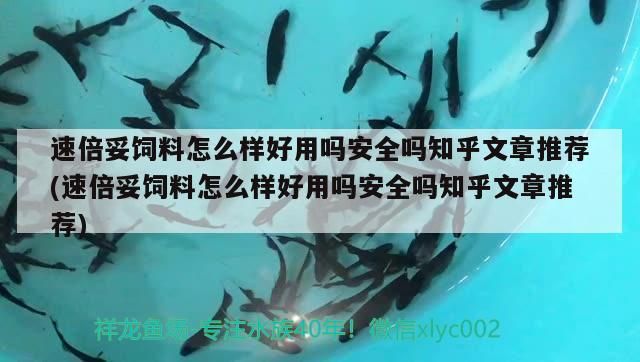 倍妥飼料使用效果、安全性如何？