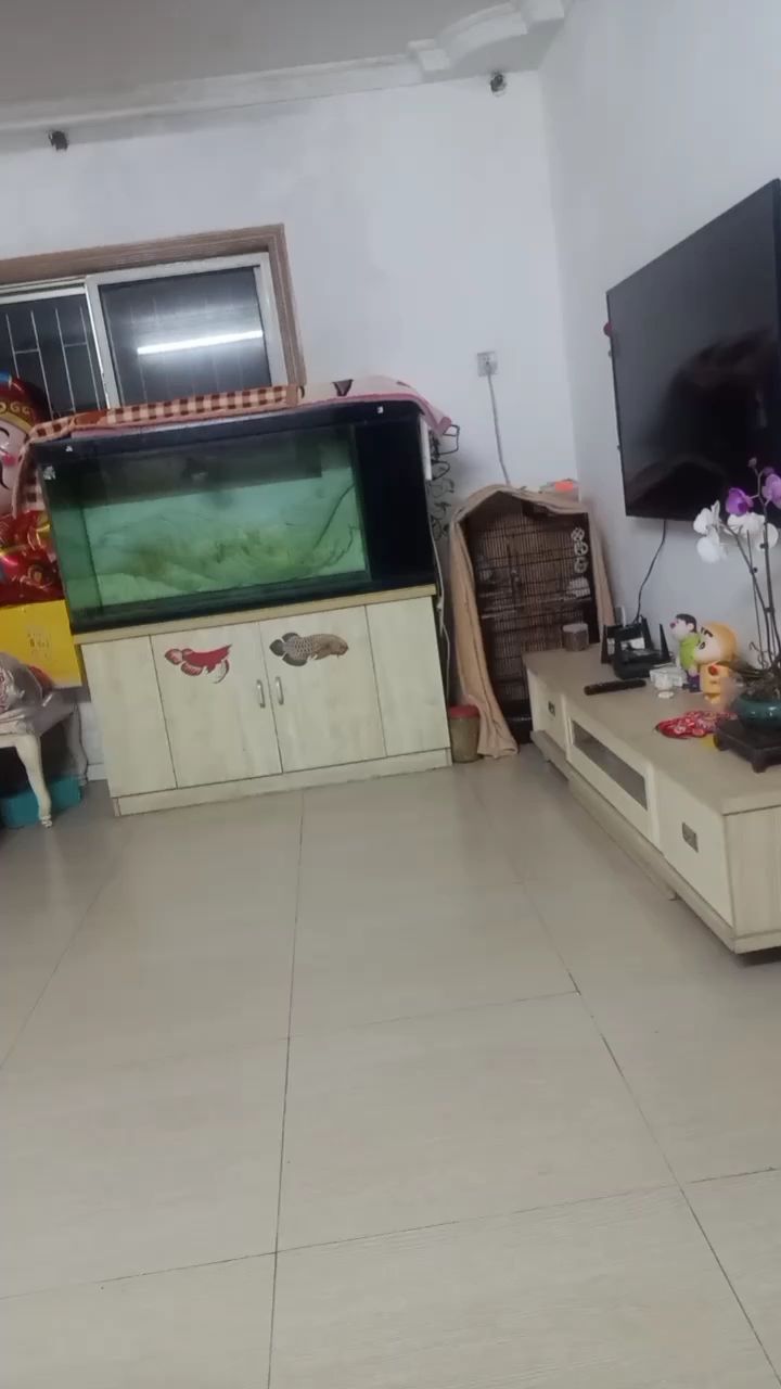 此刻閑來，且讓我小唱兩句 此刻閑來，且讓我小唱兩句 龍魚論壇