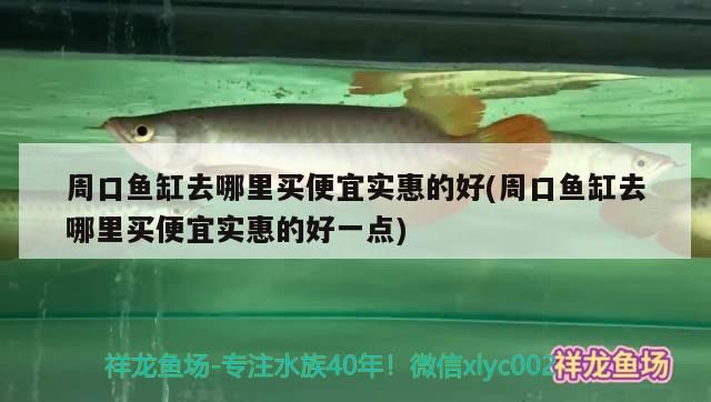口魚缸哪里買便宜實惠又好？