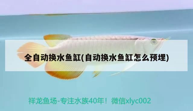 孟吉爾至萬吉，巨型炮彈的驚人威力與神秘面紗 孟吉爾至萬吉，巨型炮彈的驚人威力與神秘面紗 廣州孟吉爾 第2張