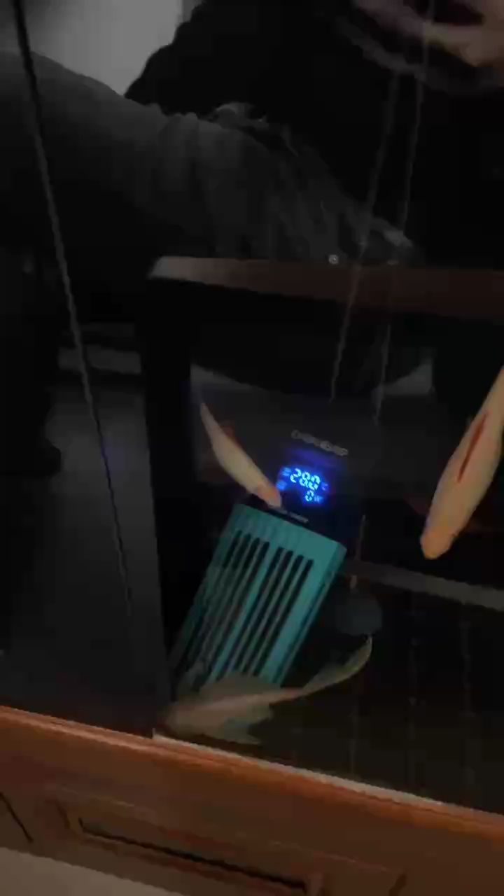 一條忘記自己屬性的 一條忘記自己屬性的 龍魚論壇