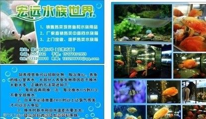 族館常賣熱門魚種大盤點(diǎn)，這些魚類你了解