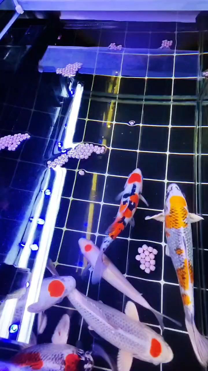 日常打卡，記錄生活點滴，見證自我成長與堅持的足跡