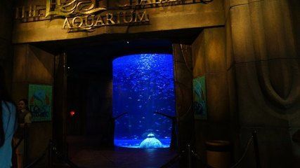 水族館飯店影評，奇幻美食之旅，劇情與 水族館飯店影評，奇幻美食之旅，劇情與 水族館百科（水族館加盟） 第1張