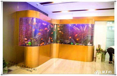 魚魚缸制作設計精美圖片欣賞,領略獨特造景與工藝 魚缸百科 第1張 魚魚缸制作設計精美圖片欣賞,領略獨特造景與工藝 魚魚缸制作設計精美圖片欣賞,領略獨特造景與工藝 魚缸百科 第1張