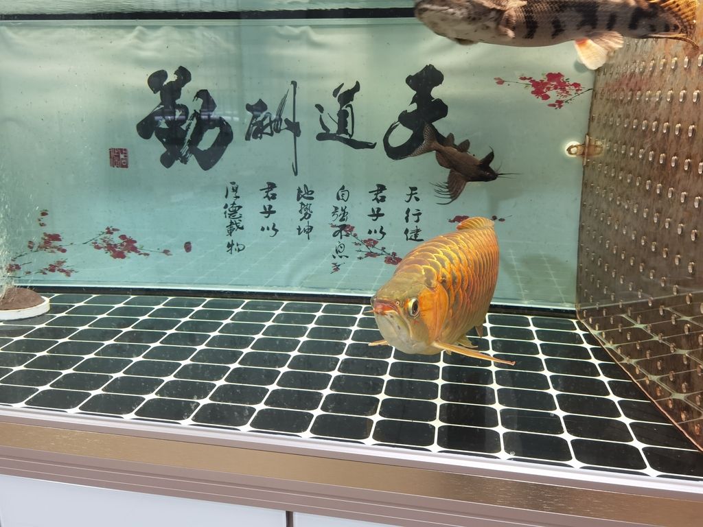 你還未提供具體的內容呀，我沒辦法直接生成相應的長標題呢，你可以把內容跟我說