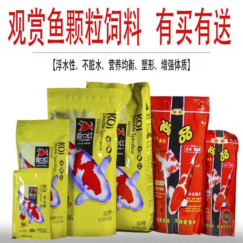 與市售觀賞魚飼料大比拼，釣魚效果及成分差異