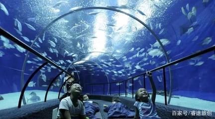 自制水族館,從材料準備到布置養護的詳細攻略 水族館百科(水族館加盟) 第2張 自制水族館,從材料準備到布置養護的詳細攻略 自制水族館,從材料準備到布置養護的詳細攻略 水族館百科(水族館加盟) 第2張