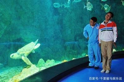 自制水族館,從材料準備到布置養護的詳細攻略 水族館百科(水族館加盟) 第3張 自制水族館,從材料準備到布置養護的詳細攻略 自制水族館,從材料準備到布置養護的詳細攻略 水族館百科(水族館加盟) 第3張