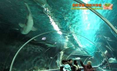 自制水族館,從材料準備到布置養護的詳細攻略 水族館百科(水族館加盟) 第4張 自制水族館,從材料準備到布置養護的詳細攻略 自制水族館,從材料準備到布置養護的詳細攻略 水族館百科(水族館加盟) 第4張