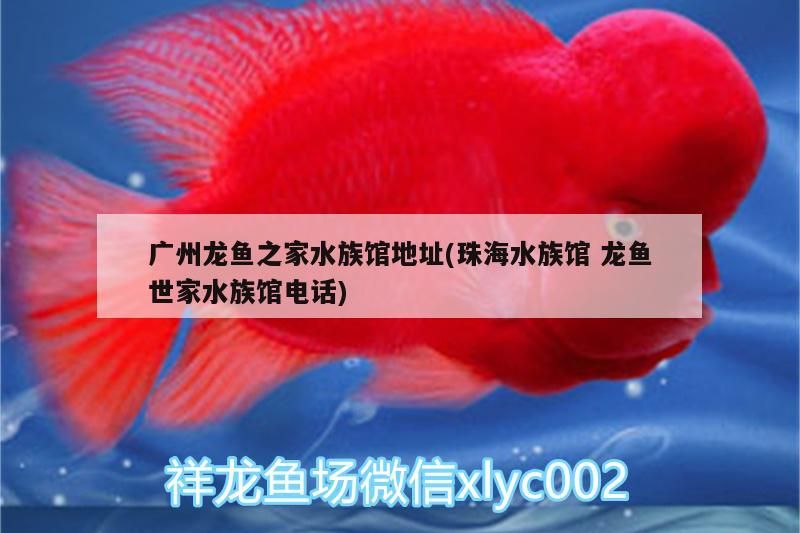 龍魚之家水族館地址及珠海龍魚世家水族