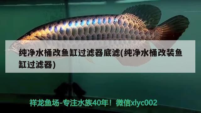 純凈水桶改魚缸過濾器底濾，低成本打造高效循環(huán)系統(tǒng)