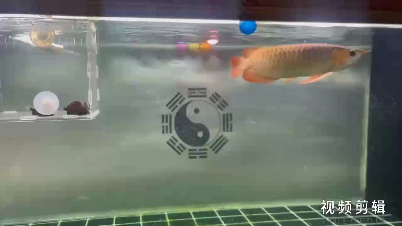 簽到，積累小習(xí)慣，開(kāi)啟自律生活