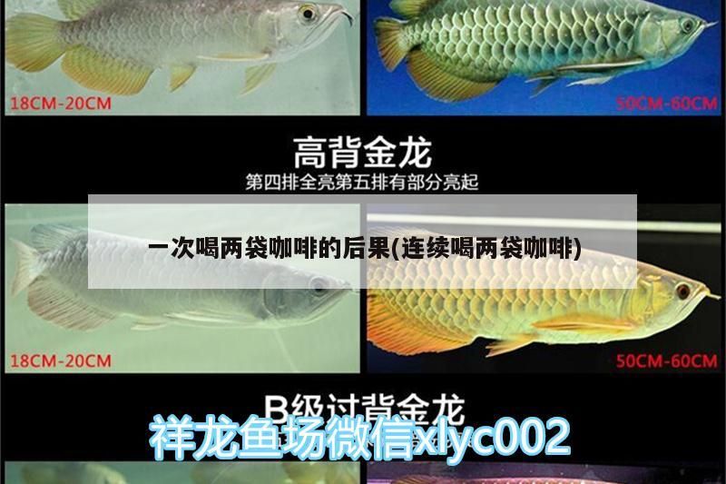 一次喝兩袋咖啡的嚴重后果，連續飲用后身體反應大