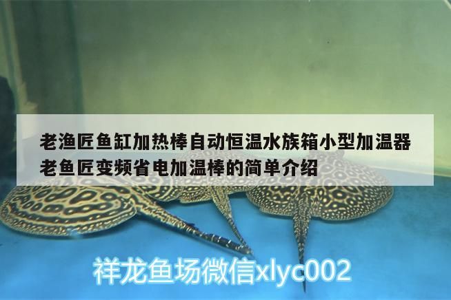 漁匠魚缸加熱棒，自動恒溫，變頻省電，小型水