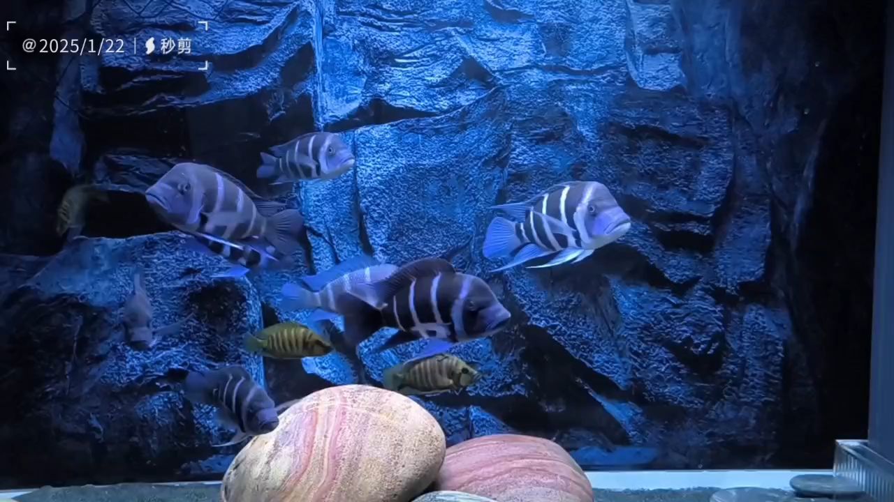 情起時心動，愛深處難舍