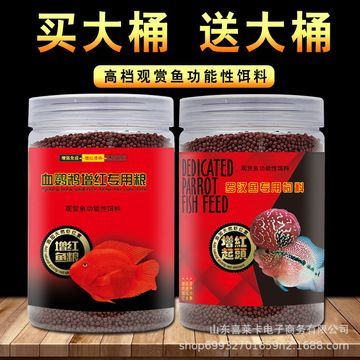 觀賞魚的食物選擇，特定飲食需求與