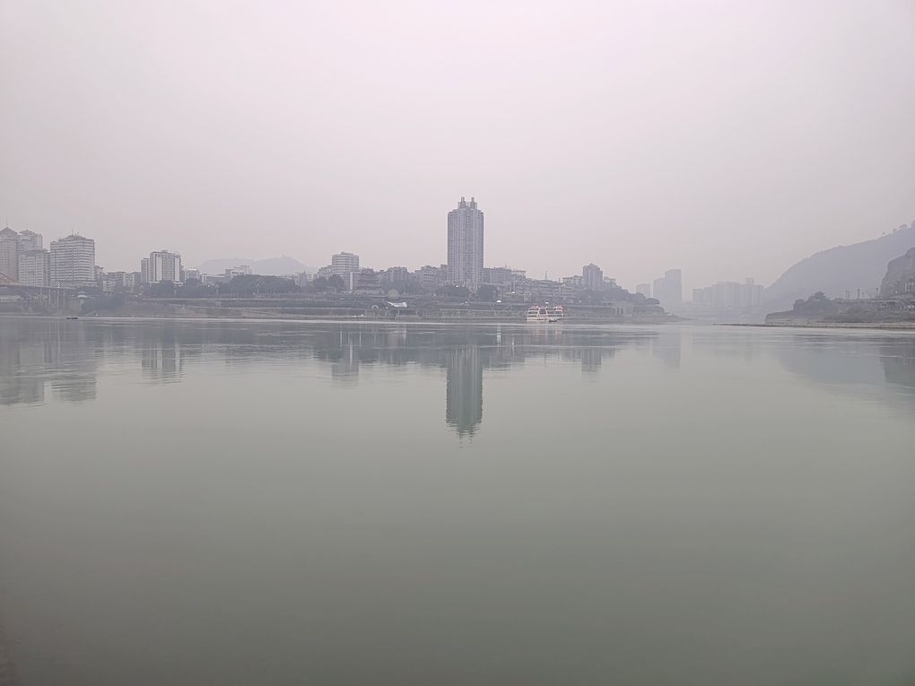 你還未提供具體內容，我暫無法生成長標題。 你還未提供具體內容，我暫無法生成長標題。 龍魚論壇