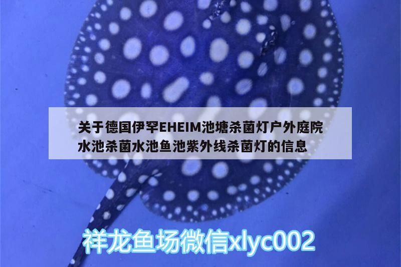 伊罕EHEIM池塘殺菌燈，戶外庭院水池魚池