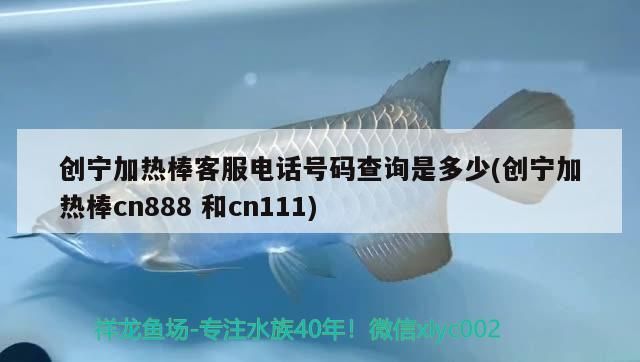 創寧加熱棒客服電話號碼查詢是多少(創寧加熱棒cn888和cn111)