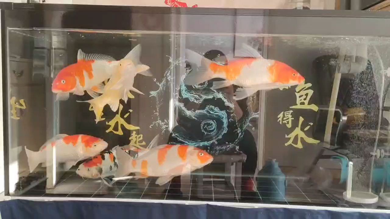 曬曬豬