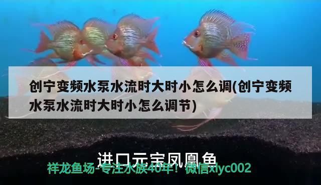創寧變頻水泵水流時大時小怎么調(創寧變頻水泵水流時大時小怎么調節)
