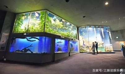 水族館賣什么紀念品比較好（水族館主題攝影展的購買指南） 水族館賣什么紀念品比較好（水族館主題攝影展的購買指南） 水族館百科（水族館加盟） 第3張